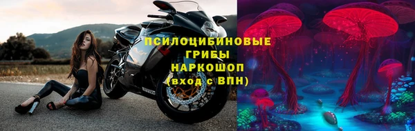 гидропоника Елизово