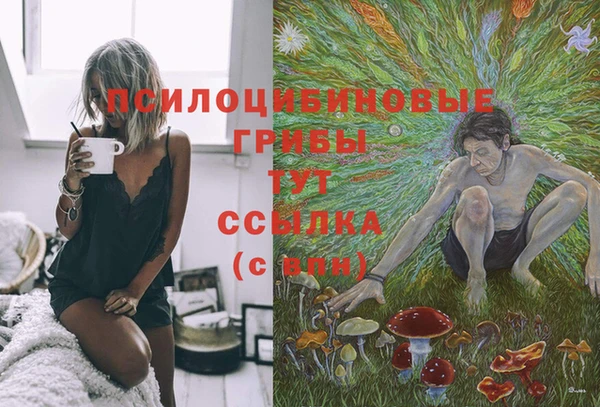 гидропоника Елизово