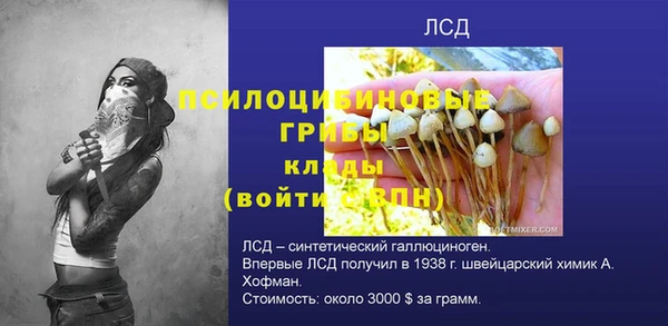 apvp Елабуга